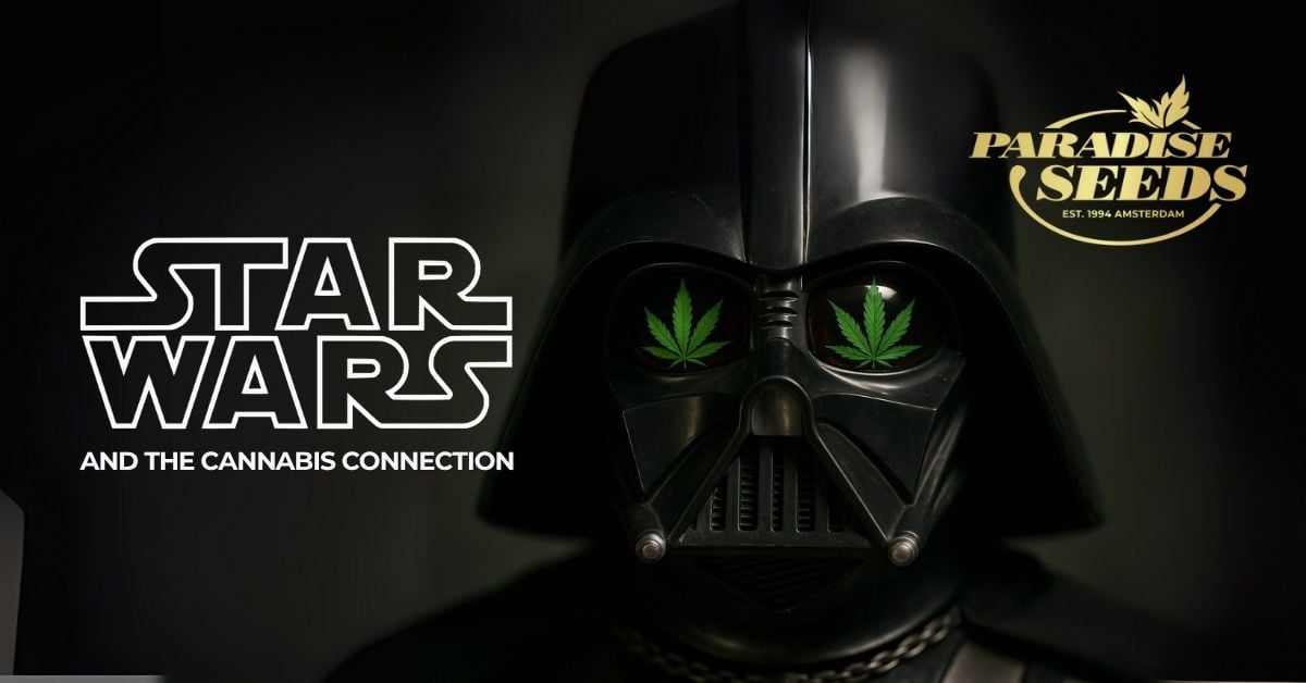 Star Wars and the cannabis connection cover artwork