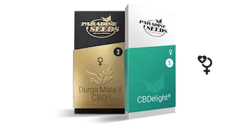 cbd