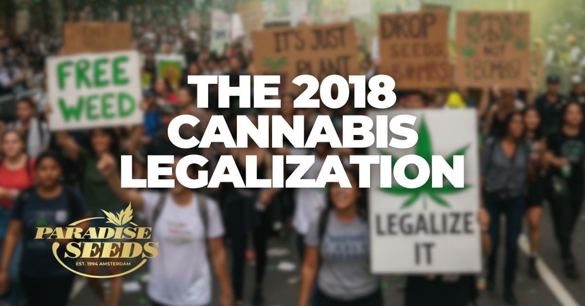 2018 cannabis legalization weed rush article cover