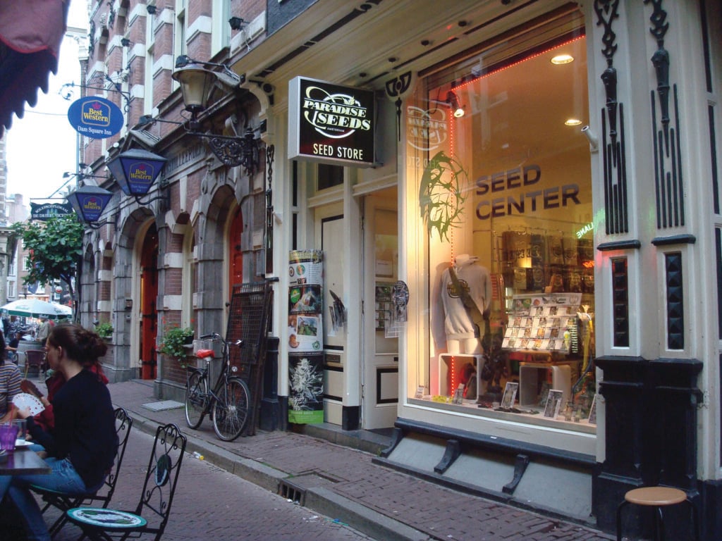 Amsterdam Seed Center store in Amsterdam opens it's doors