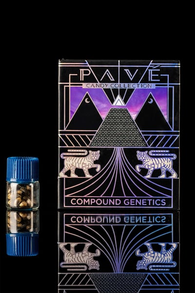 Candy Pave Collection