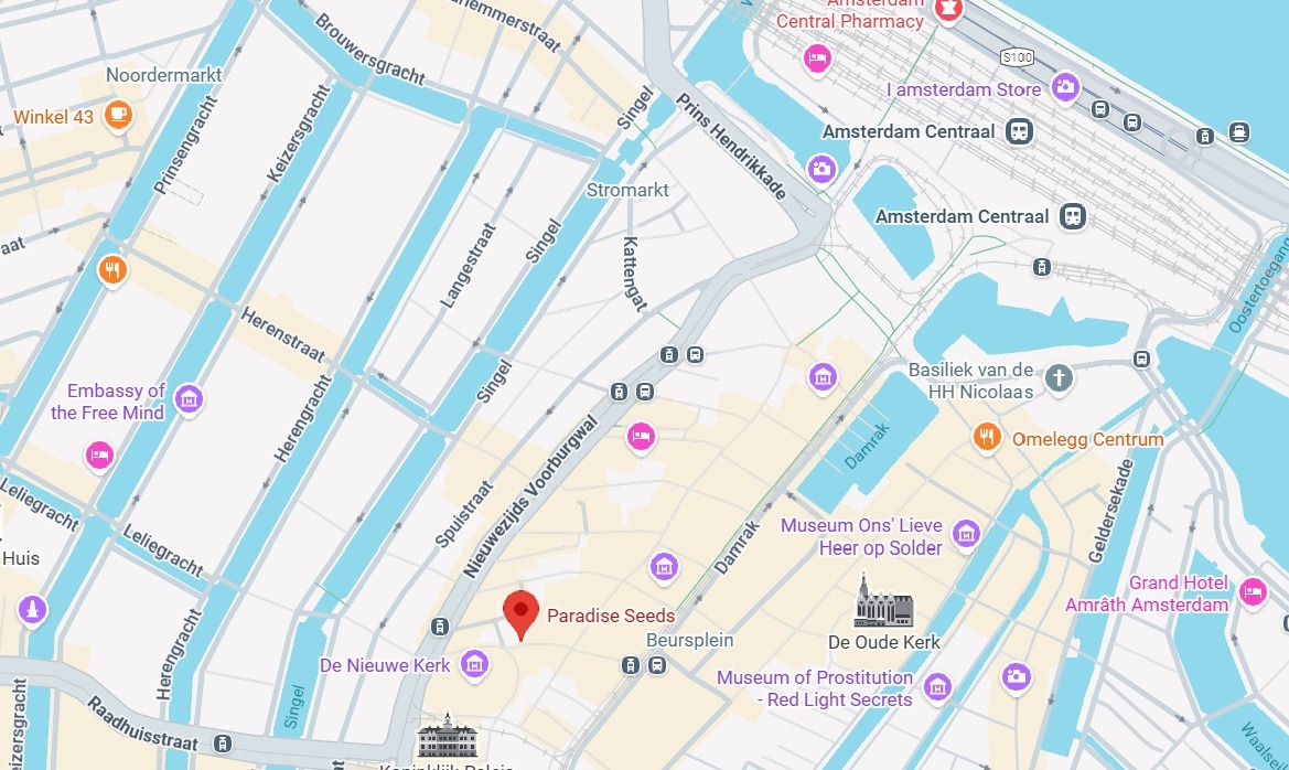 Paradise Seeds store map foir Amsterdam cannabis tourist