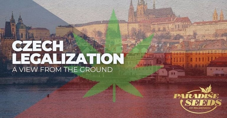 Czech Cannabis Legalization 2026: A View From the Ground