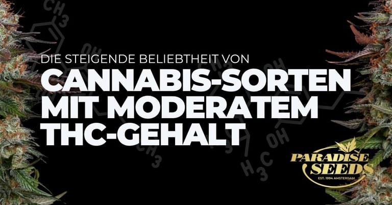 Die steigende Beliebtheit von Cannabis-Sorten mit moderatem THC-Gehalt