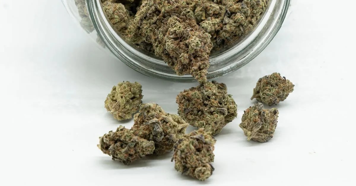 THCV vs THCA consumption