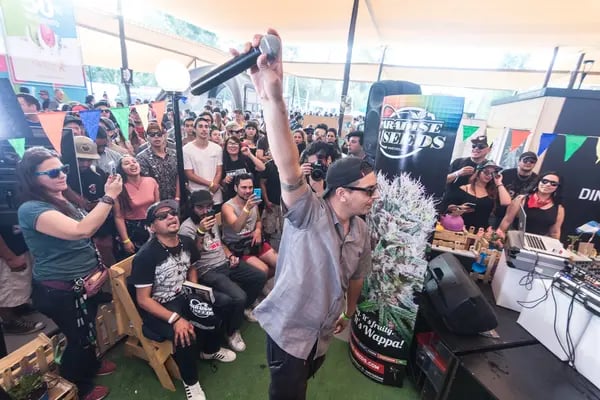 Paradise Seeds at ExpoWeed, Chile.