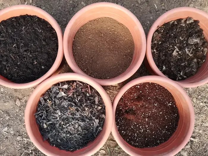 Nährstoffe im Cannabisboden - natürliche Dünger
