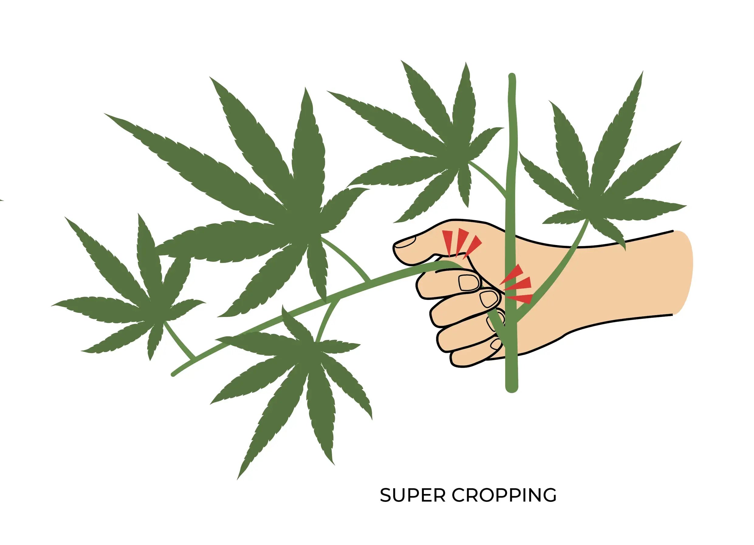Super Cropping HST-Tekniken Grafik