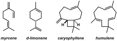 Terpenes