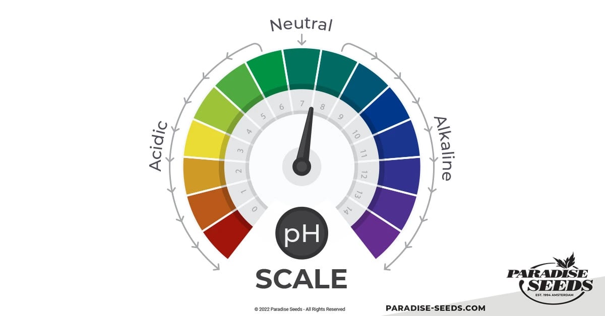 Ein pH-Wert zwischen 5.8 und 6.5 ist ideal für die Nährstoffaufnahme