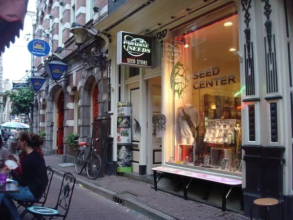Amsterdam cannabis tourist hotspot, Paradise Seeds store