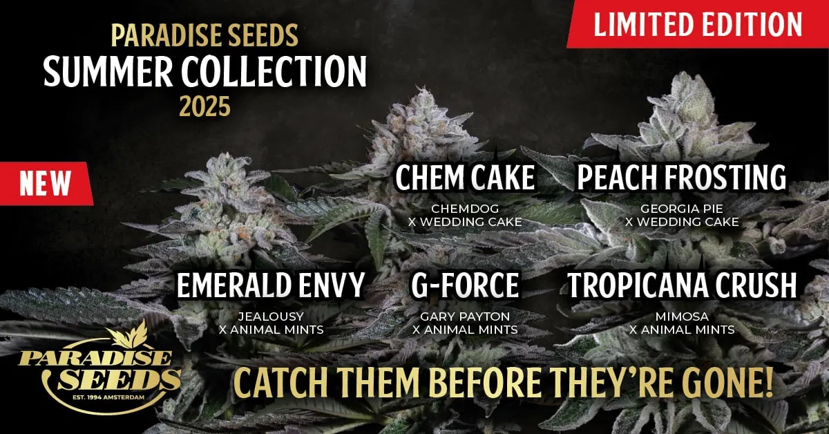 Paradise Summer Collection featuring 5 new and exclusively available strains