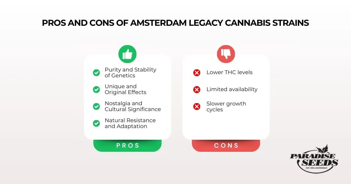 Voor- en nadelen van legacy cannabis soorten
