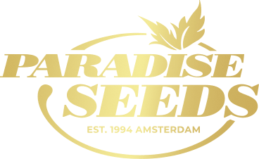 Paradise Seeds