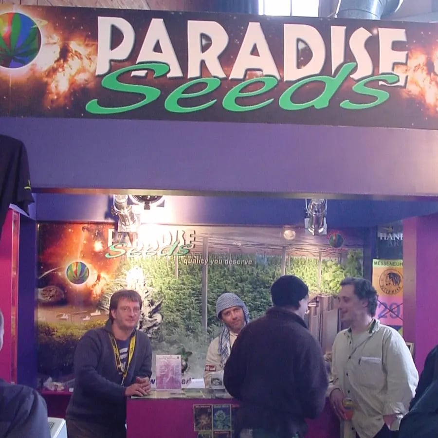 Die Geschichte von Paradise Seeds - die 2000er Jahre