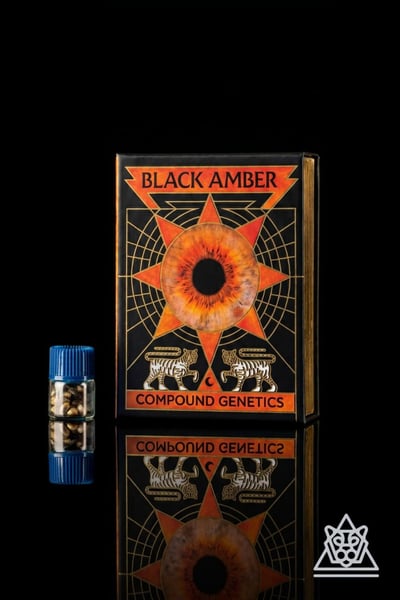 Black Amber Collection from Compound Genetics sold by Paradise Seeds