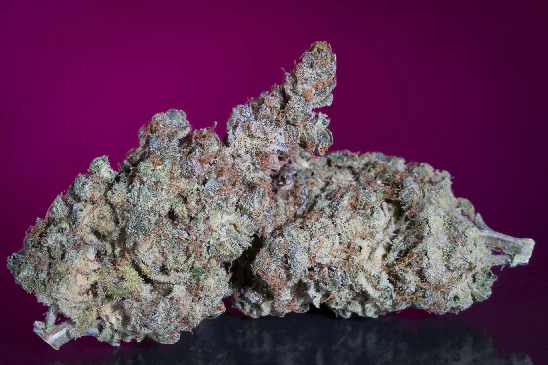 Popular cannabis cookies strains, White Noise
