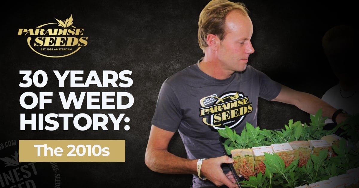 Paradise Seeds history 2010s cover