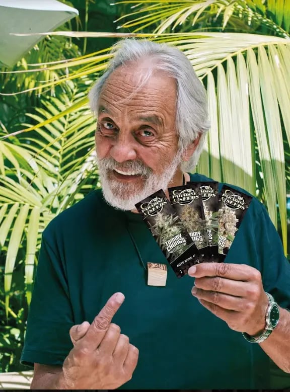 Tommy Chong's Collection seeds from Paradise Seeds