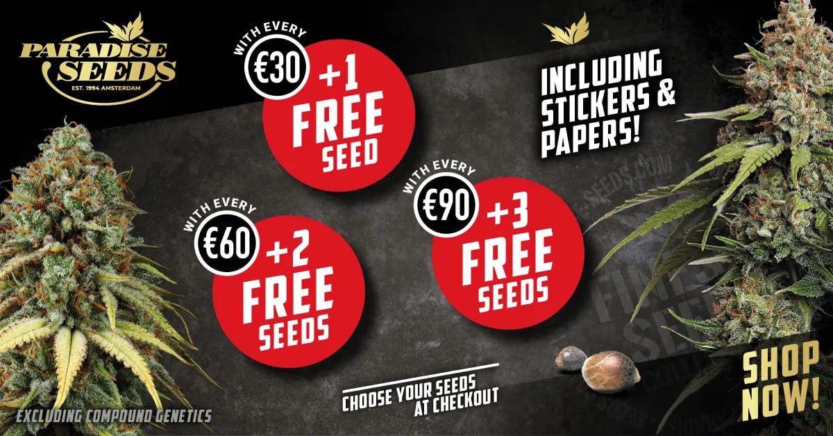 1 Free Cannabis Seeds with every 30 euro Promotion