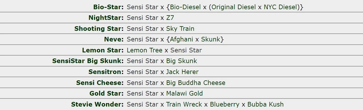 Sensi Star Crossbreads Genealogie