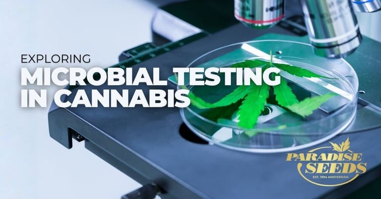 Microbiële Testen Op Cannabis: Wat de wetenschap betekent voor telers