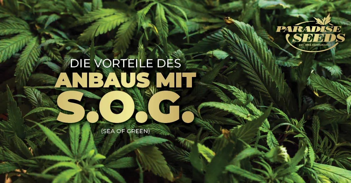 Sea of Green-Methode