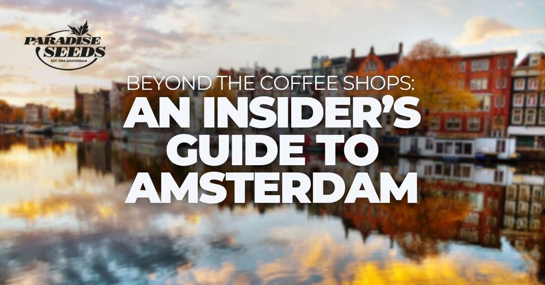 Copertina della guida turistica sulla cannabis ad Amsterdam