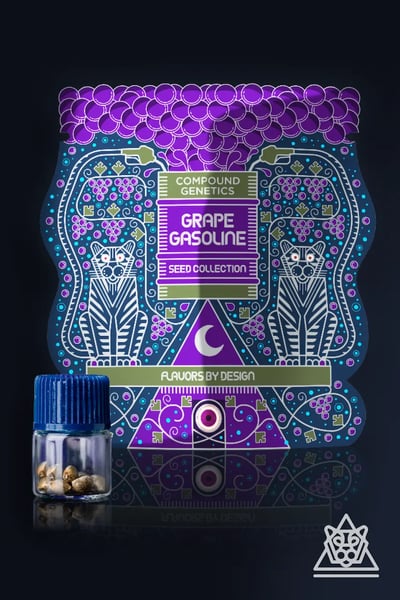 Grape Gasoline Collection