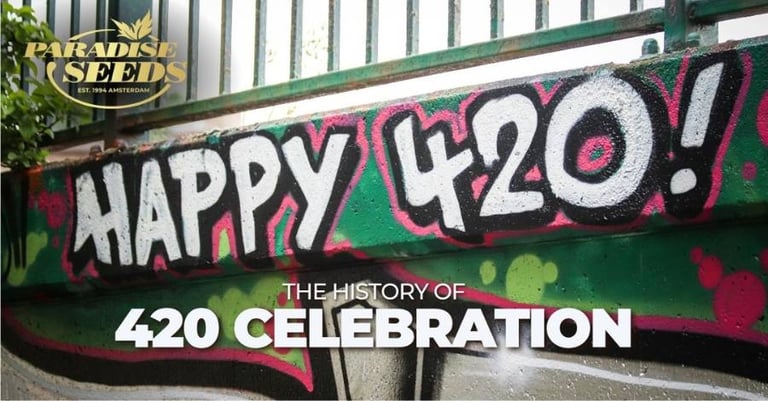 A History of the 420 Cannabis Celebration